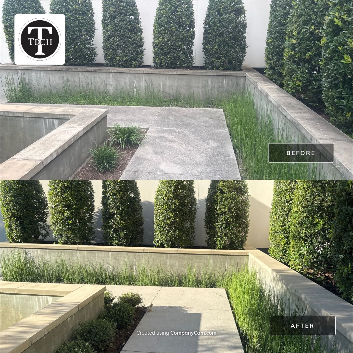 Brick & Stone Cleaning
